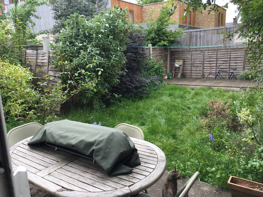 Garden with BBQ