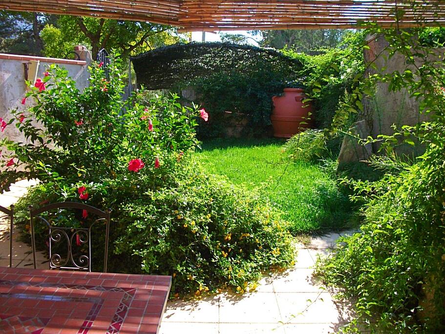 Giardino