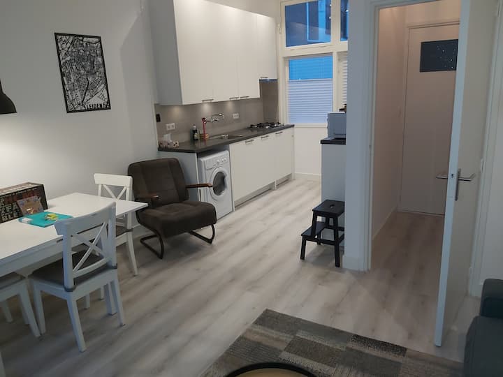 Leiden Vacation Rentals & Homes South Holland, Netherlands Airbnb