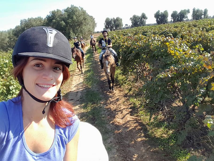 Escursioni a Cavallo