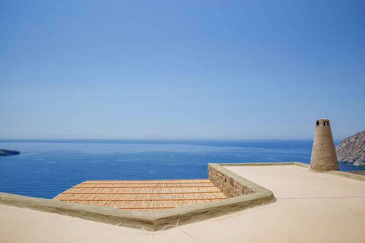 Daisies gallery image 5