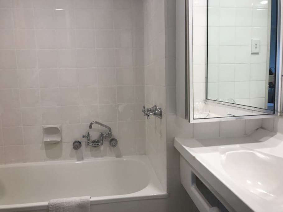 Full-sized bathtub with shower over the top.