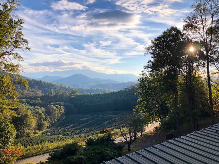 Taken from above the house looking down at the property and the view, you can see the rolling hills of the Christmas tree farm, the lush valley, and the Black Mountains. Taken in autumn, the view is long ranging with a diversity of trees.