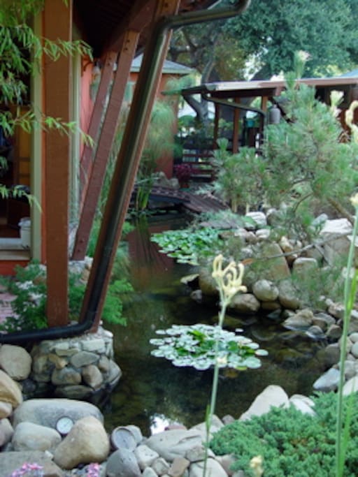 Koi pond. Artist's Studio to right