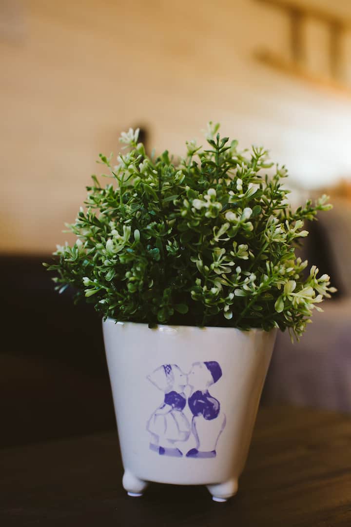 Nos vases néerlandais préférés.