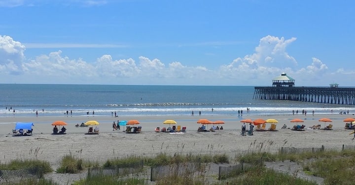 Dolphin Watch - Folly Beach, SC