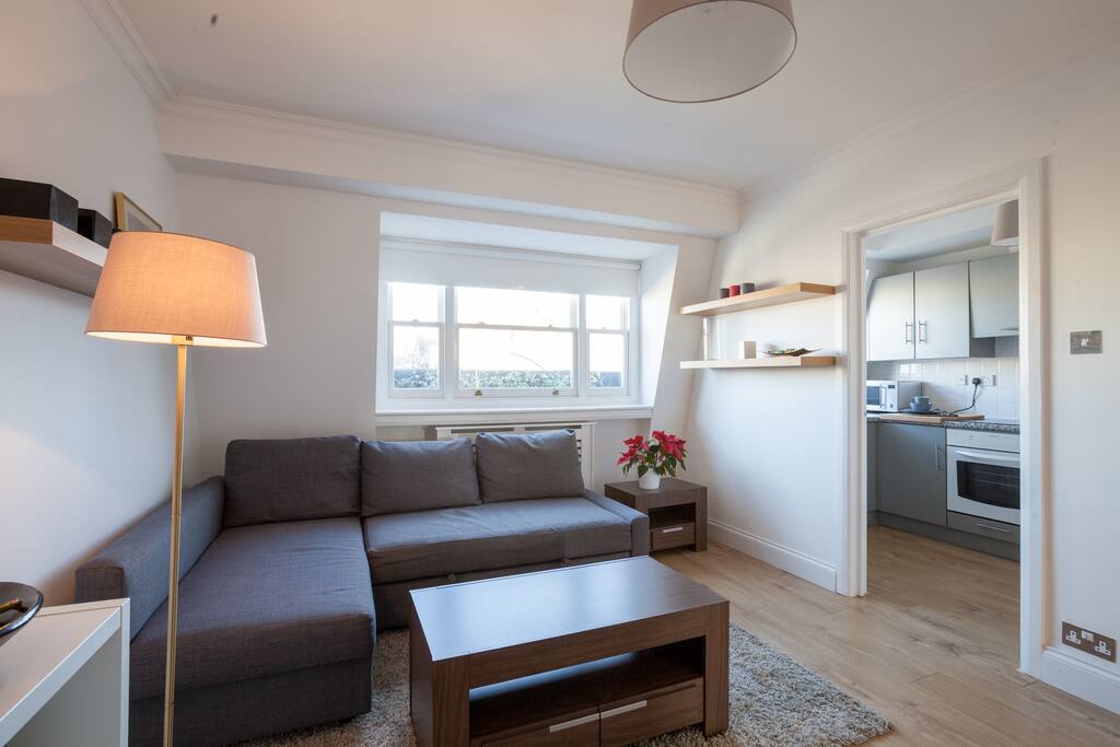 Living room with TV, Wi-fi and comfortable sofa-bed for 2 people.