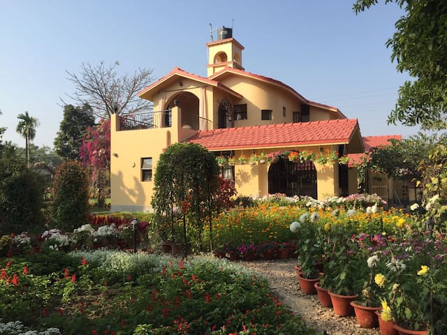 Notun Alo Prantik - enjoy the dust free greenery.