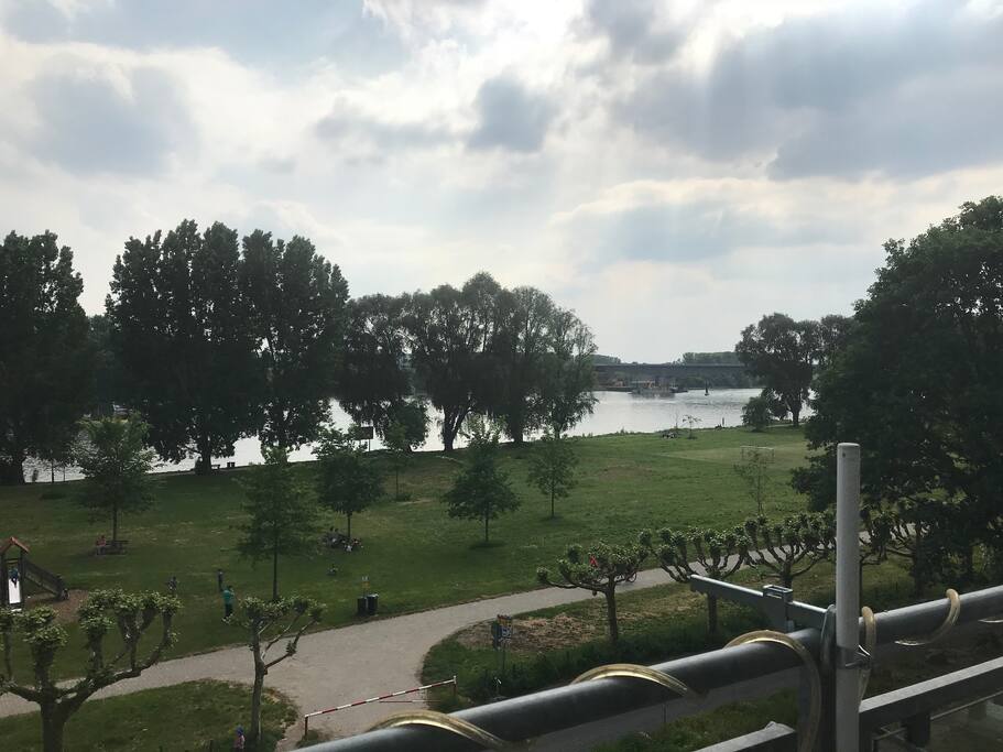 Open view to the Rhine