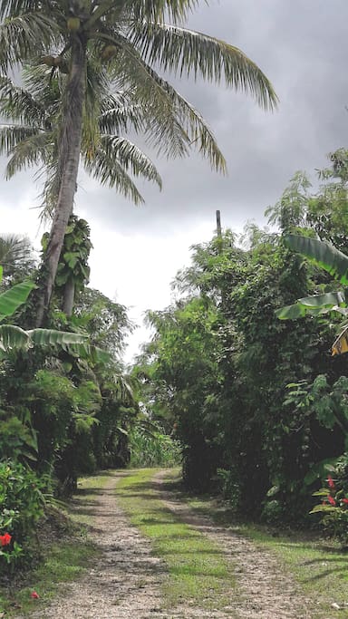 Private road access leading to your American island getaway