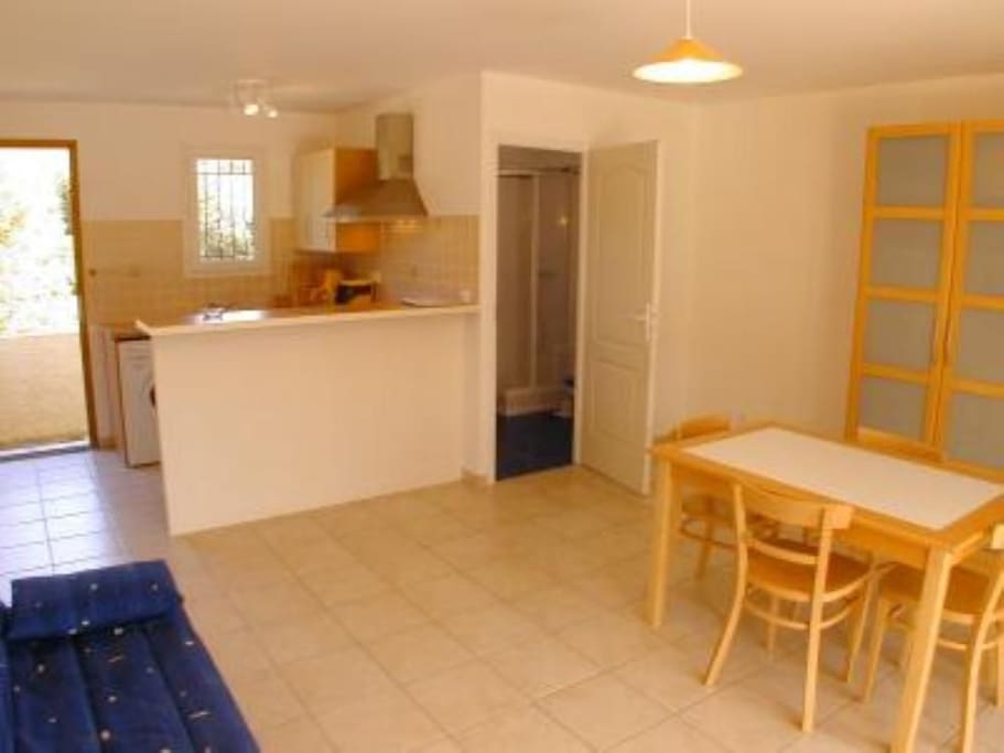 Spacious and bright studio apartment with dining table and sleeping sofa