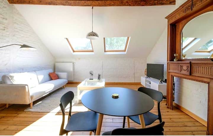 La Calamande En Ville Appartement Roy 86m2 éQuipé - Brussels