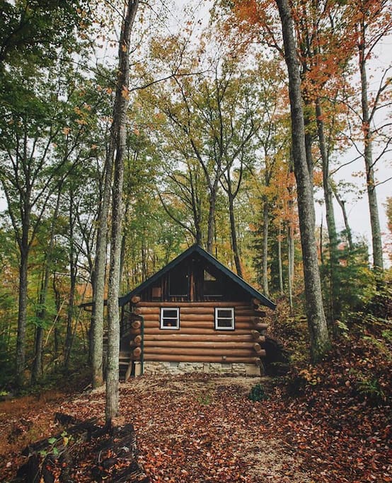 Laurel Landing Log Cabin in the Red River Houses for Rent in