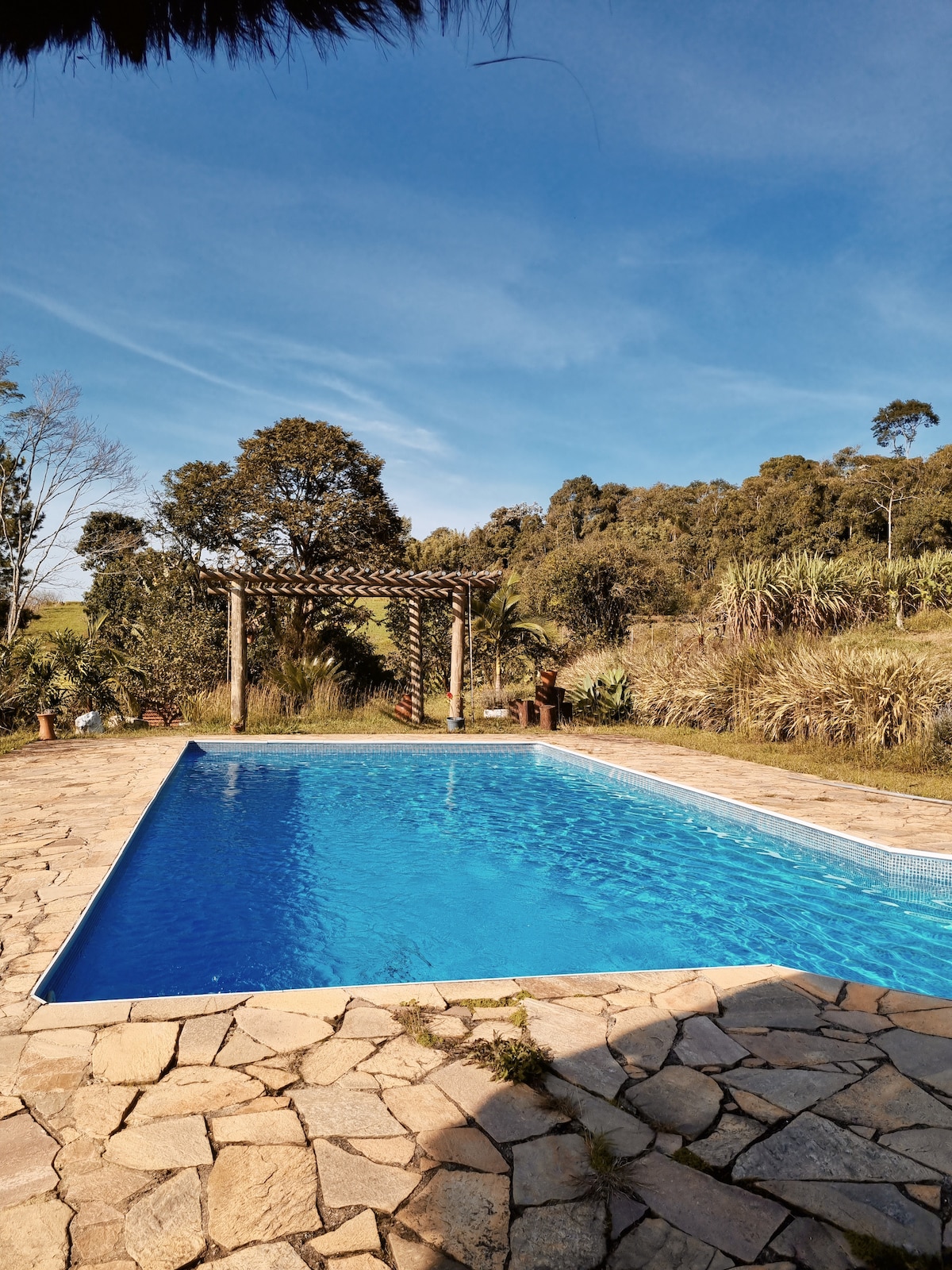A clear swimming pool with bright blue water is surrounded by a stone deck. Lush greenery and trees are visible in the background, providing a natural setting. A pergola with climbing plants adds a decorative element to the area.