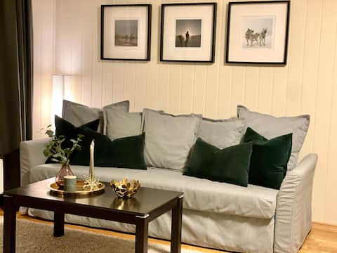 Modern apartment in the middle of Longyearbyen