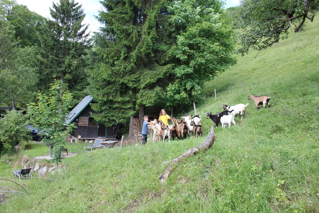 Gemütliche und ruhige Hütte direkt am Bach gelegen,
einfach zum Ausspannen und Wohlfühlen