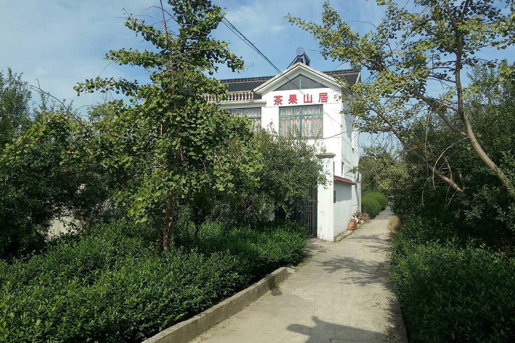 房子的周围全是树,天然痒吧哦