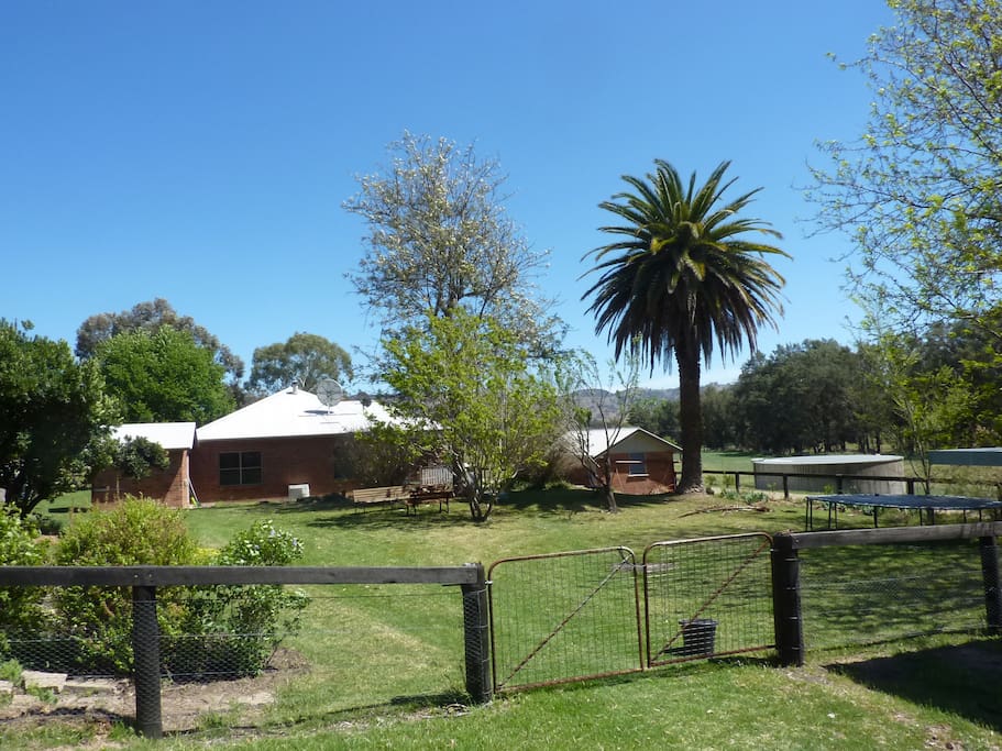 From back garden