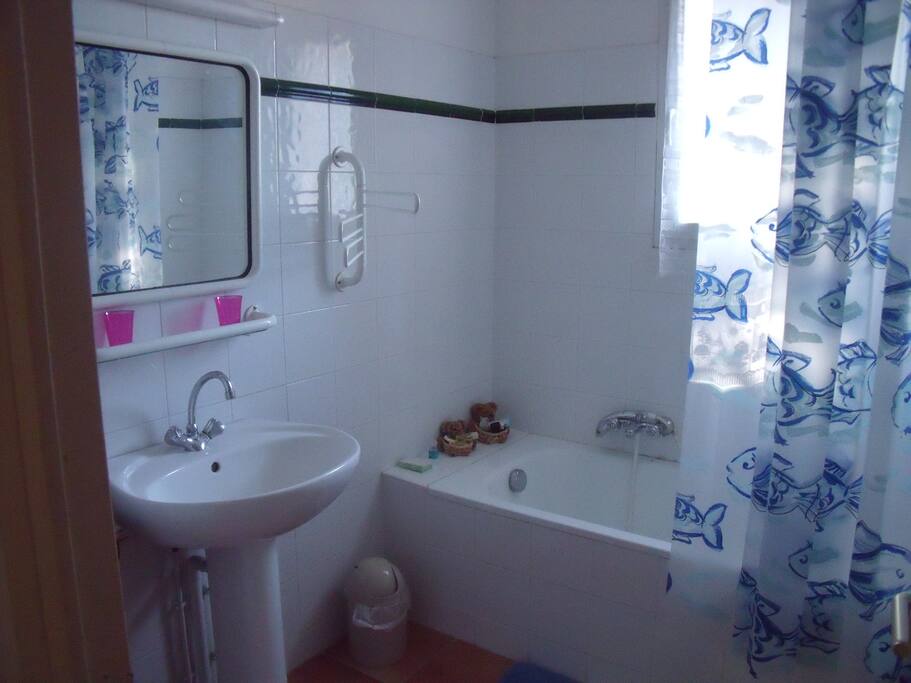 Salle de bain indépendante avec la chambre