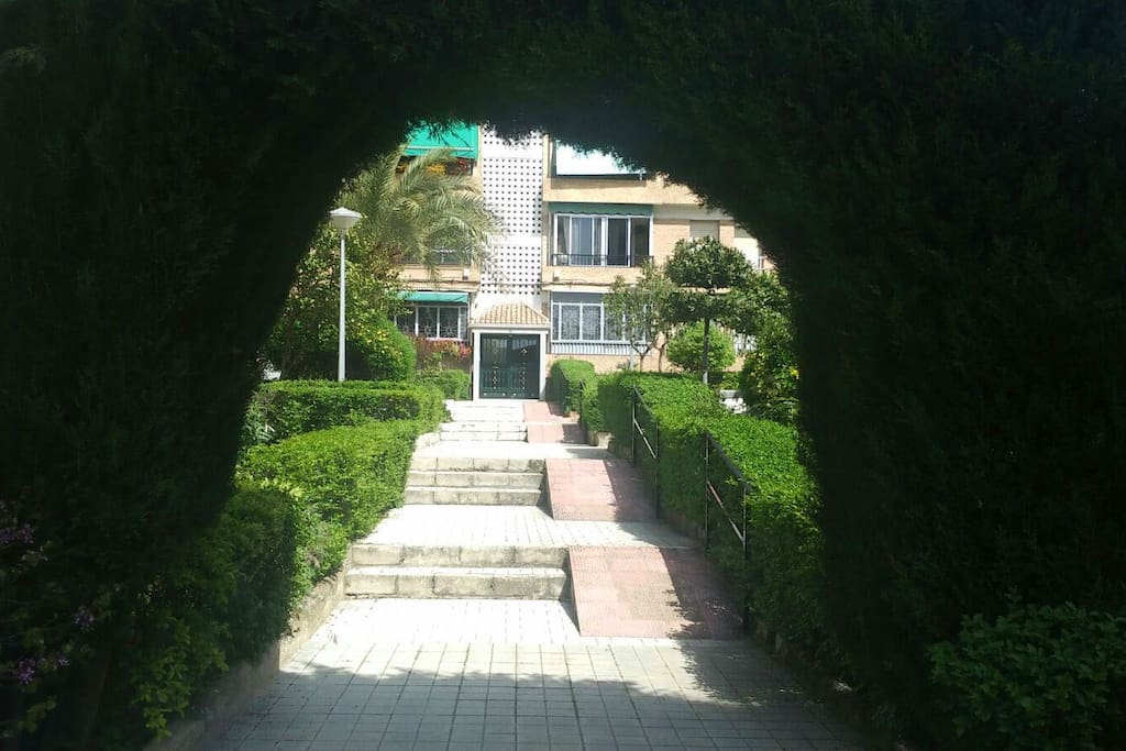Vista desde la entrada al jardín común del edificio
