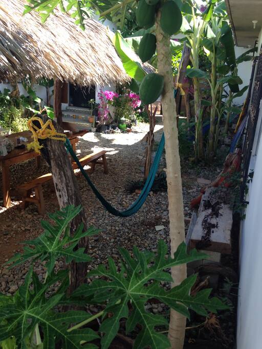 " hammock " your worries away