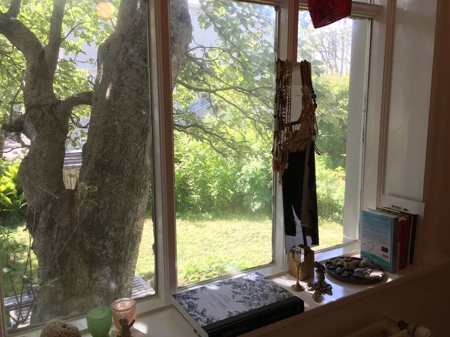 View out Private Bedroom Window