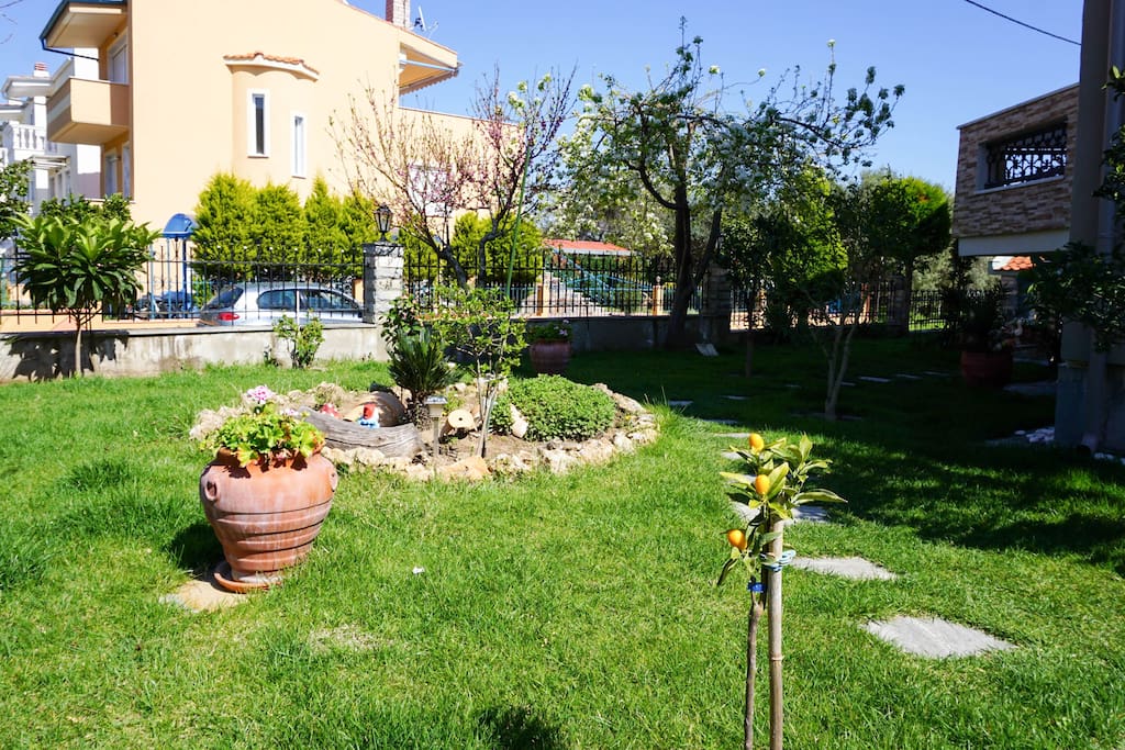 A part of our 300 meters Garden