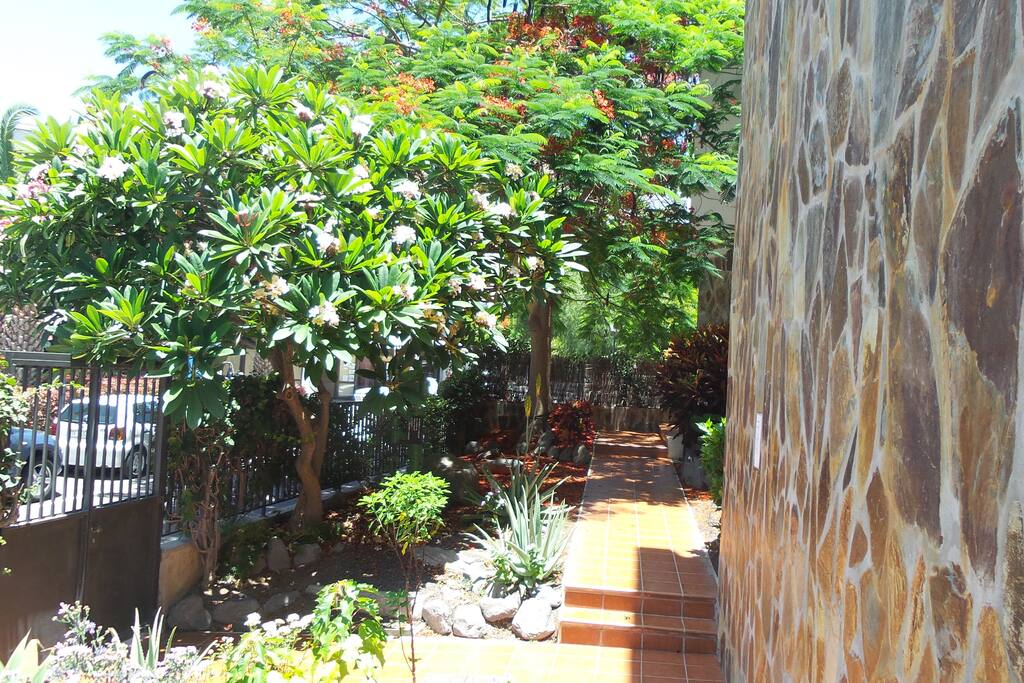 Zona ajardinada exterior