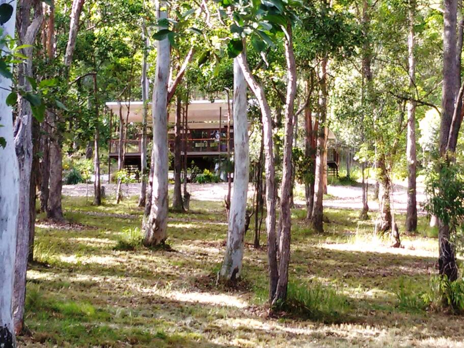 Cottage in the bush but so close to the beach.