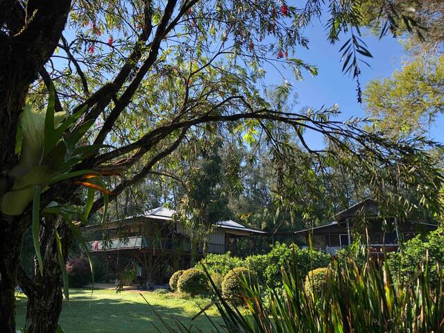 River Room Bellingen Treehouse for Groups gallery image 2