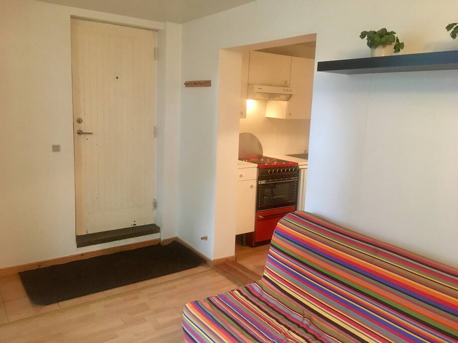 Living room and kitchen
