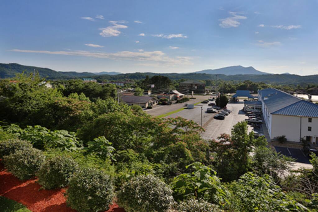 Mountain View Condo 1205