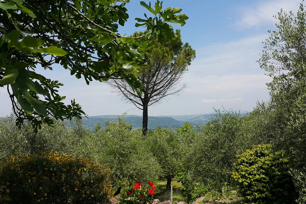 Il nostro giardino con vista