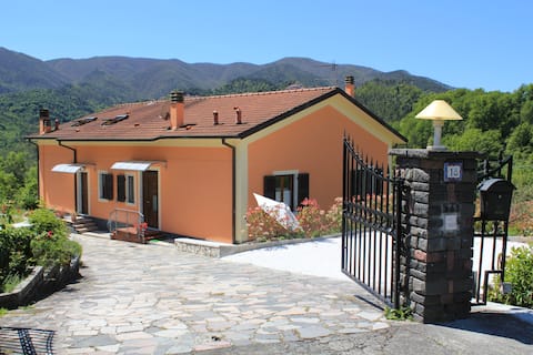La Collina del Moro