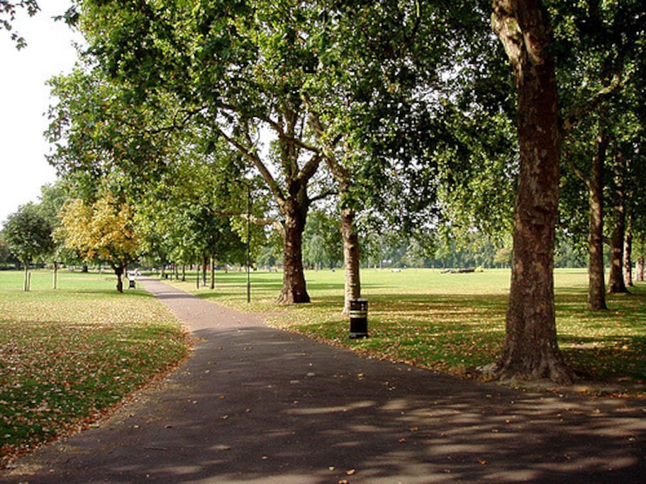 Hackney Downs Park across the road
