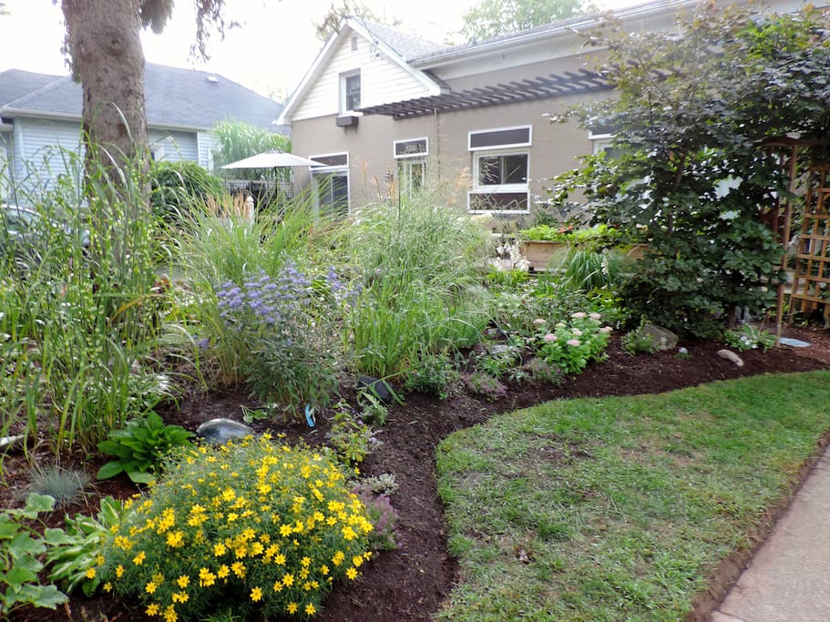 Garden in front