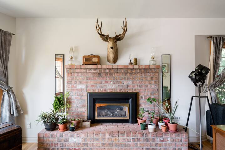 Golden Solarium – Entire Fremont Home w/ AC & Gym gallery image 3