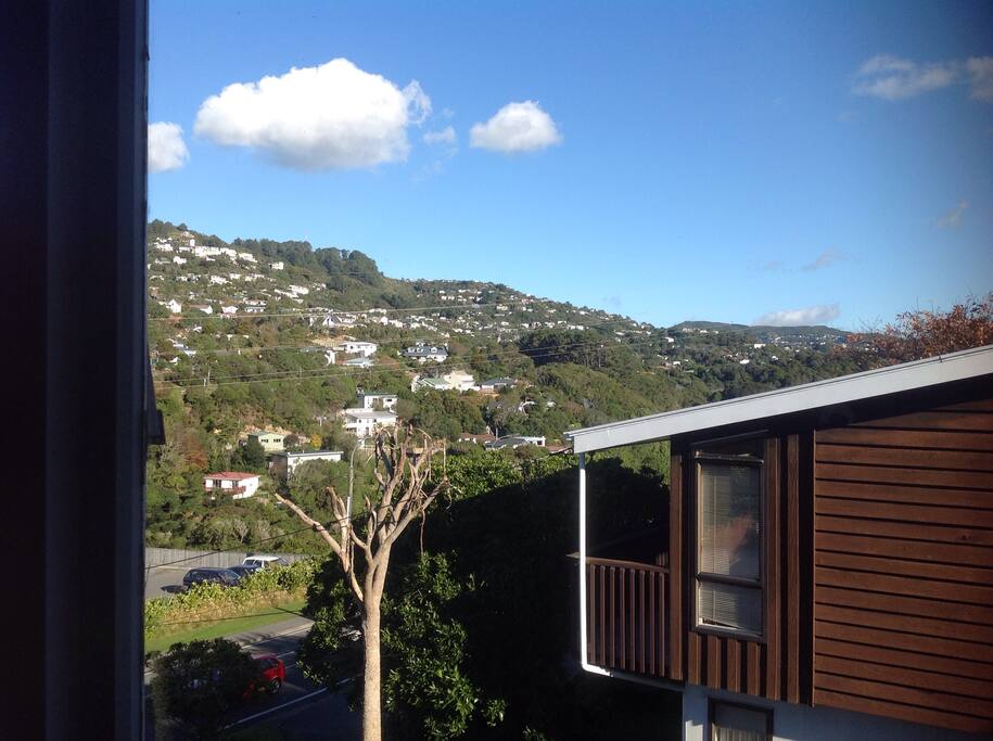 View from the window.