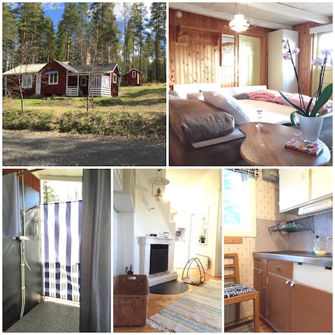 Swedish cottage between lake and forrest