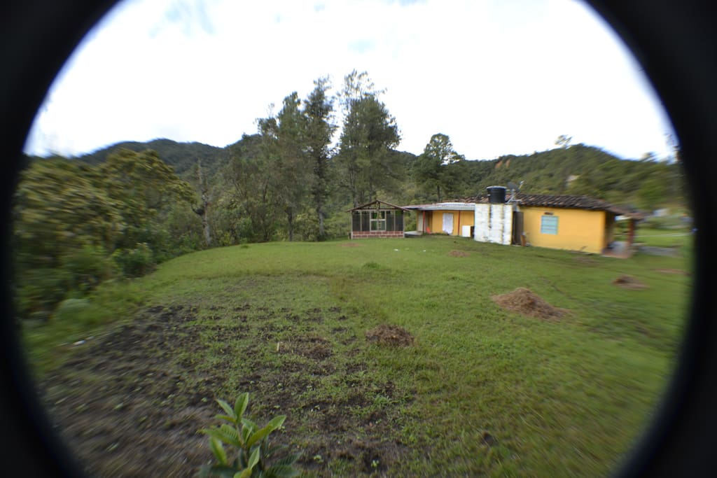 Backyard and Orchard