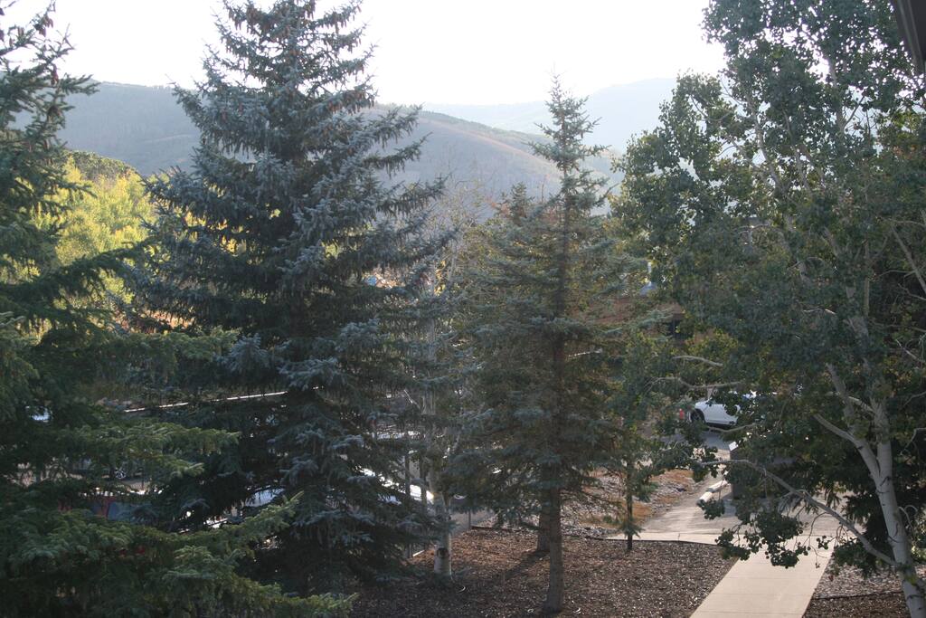 Deck view.