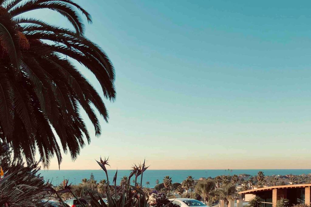 Ocean View! Just blocks to Moonlight Beach.