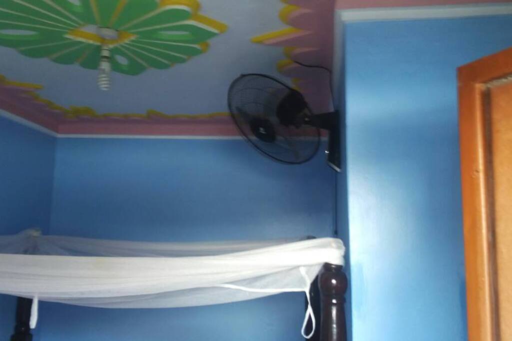 Mosquito Nets & Fan