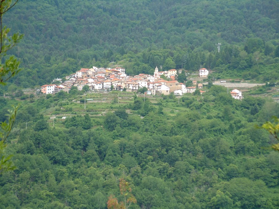 Montegrosso against the flanks of "Monte Monega", in the midst of the woods.