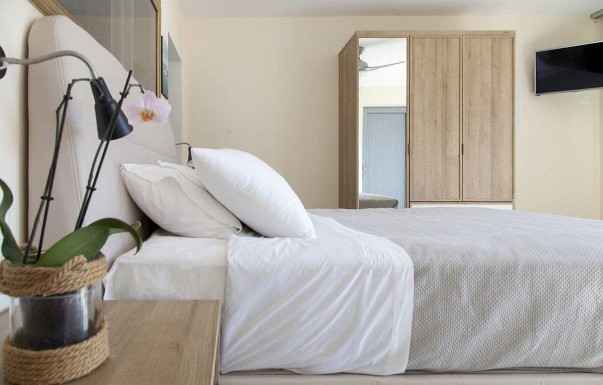 A spacious sleeping area is featured, showcasing a light-colored bed with neatly arranged pillows. A bedside table holds a potted plant, adding a touch of greenery. A wardrobe is visible in the background, with a mounted television providing modern amenities.