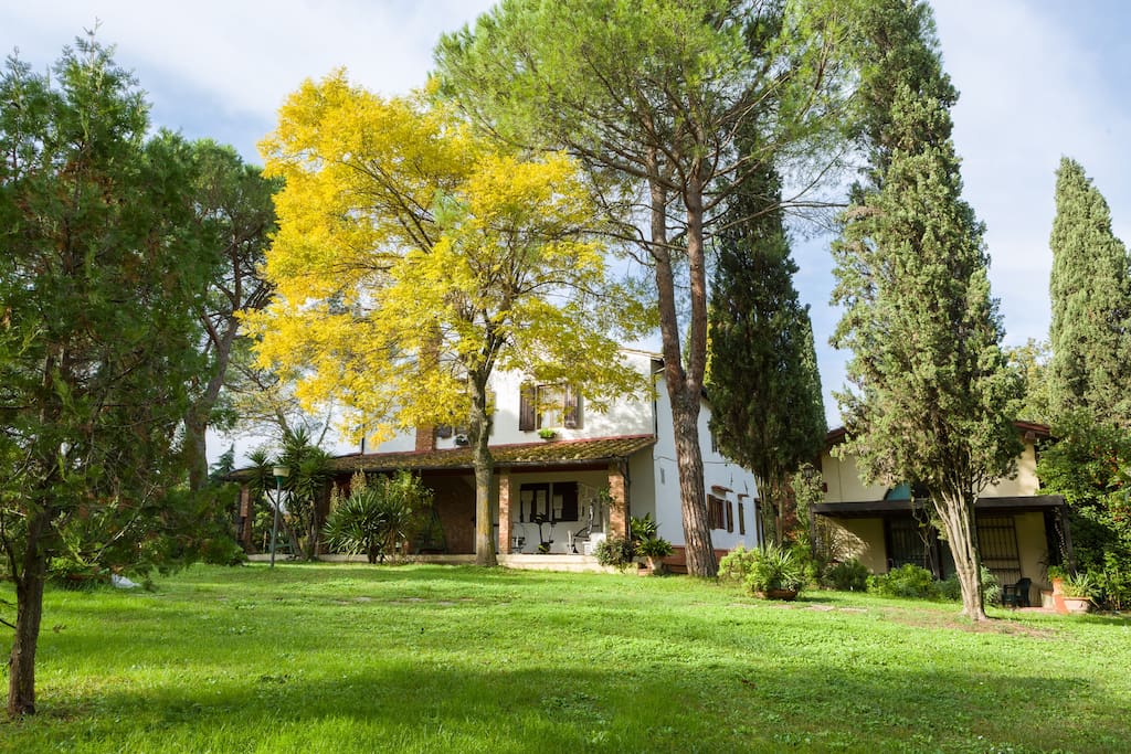 garden