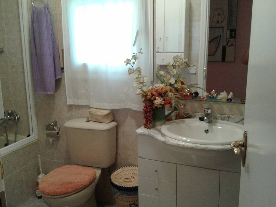 https://www.airbnb.es/manage-listing/15851710/photos?from_hdb=1