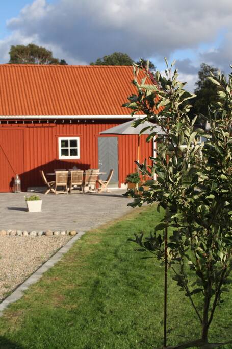 Flera fruktträd. Fruit trees.