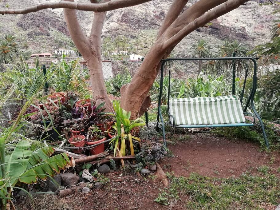 Jardín