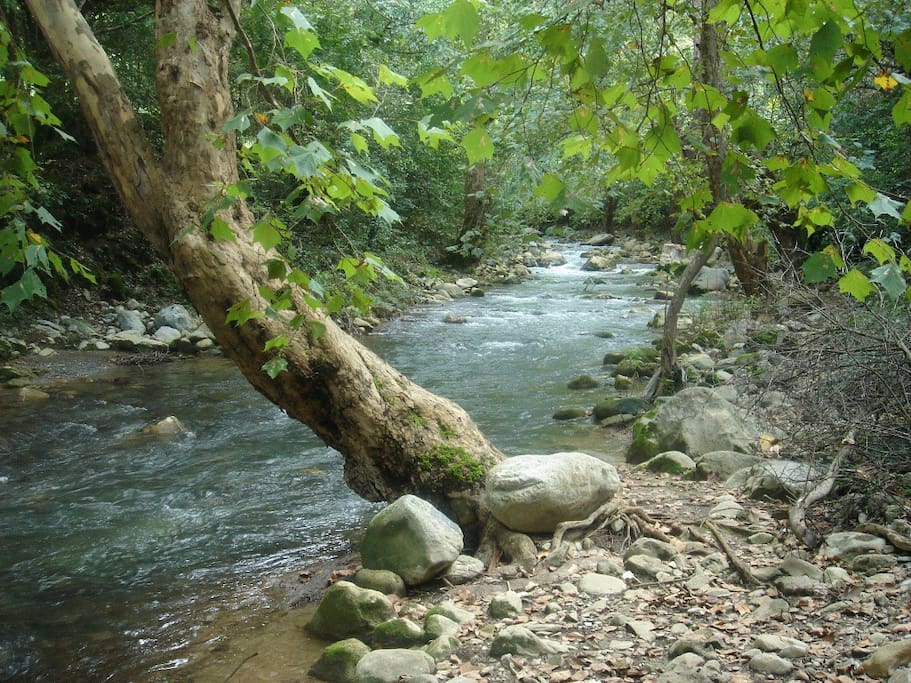 Rio Escanela con agua limpia y clara,está a unos pasos de la Casa y puedes tomarte un refrescante baño!